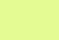 magnam