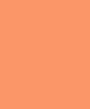 ipsum