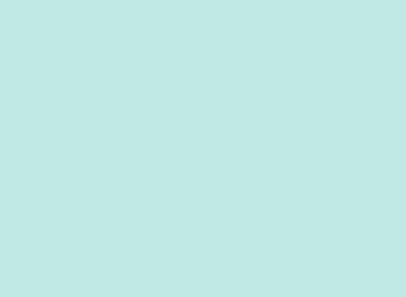 ipsum